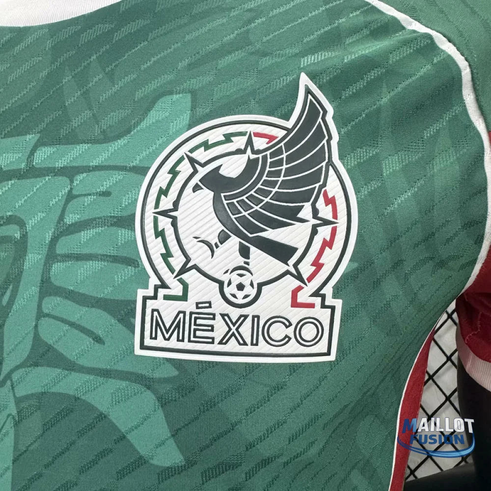 Maillot Mexique concept 2025