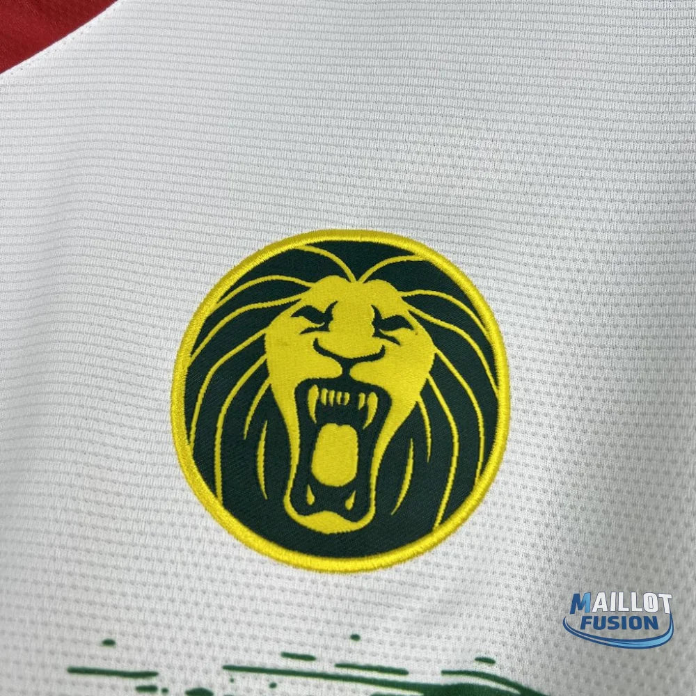 Maillot Cameroun 202