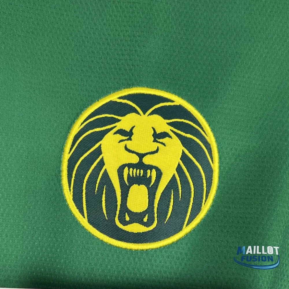Maillot Cameroun domicile 2025