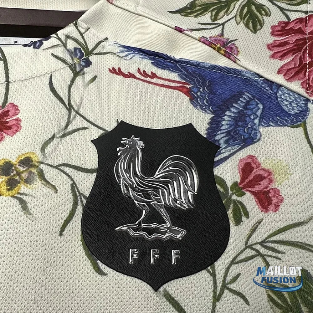 Maillot Équipe de France maillot foot concept 2023 2024