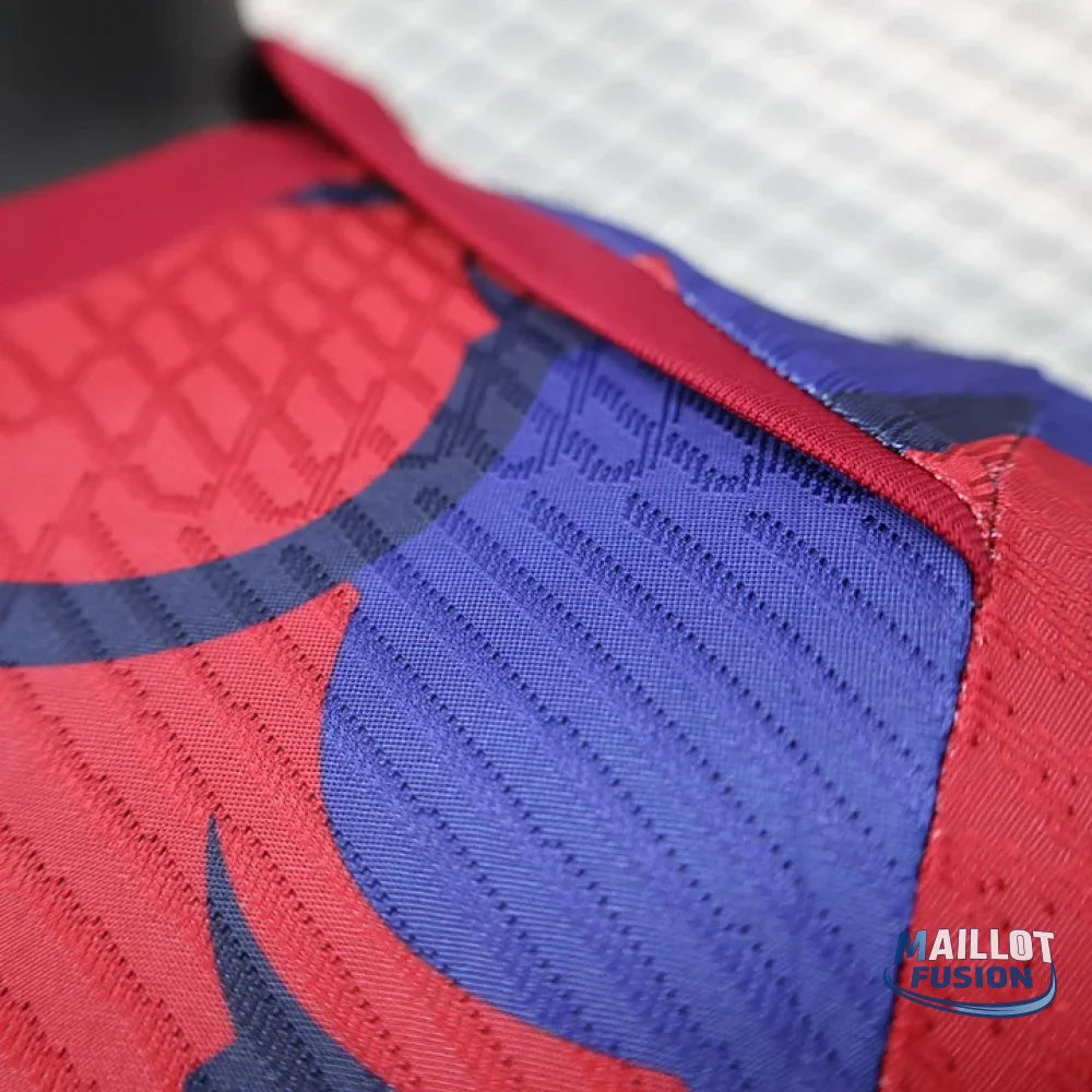 Maillot foot FC Barcelone 2024 2025 Pre-Match