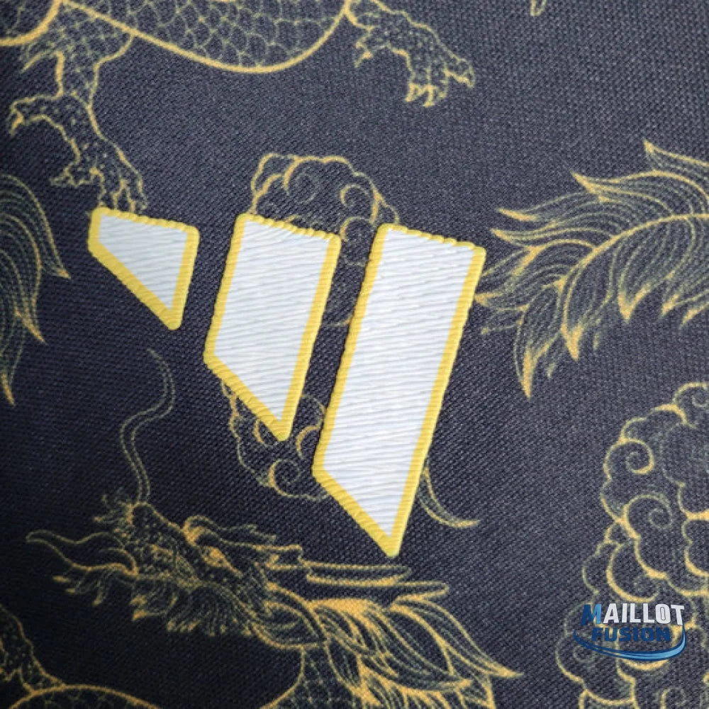 Maillot Japon concept 2023 2024 Dragon