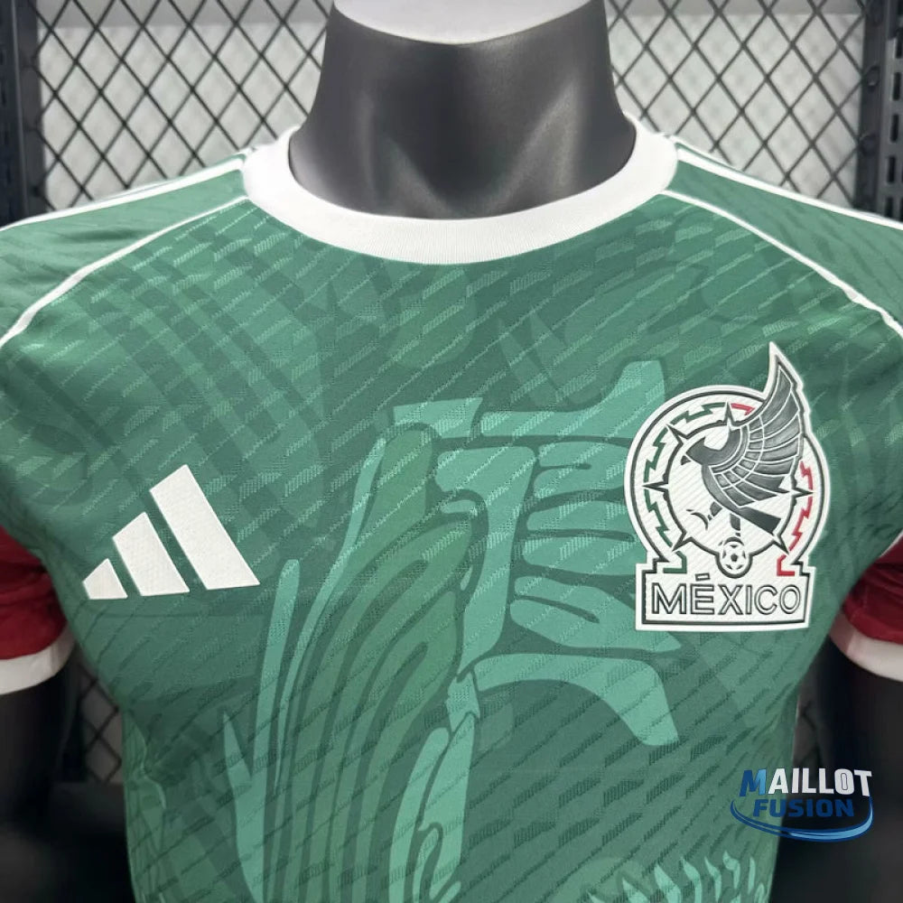Maillot Mexique concept 2025