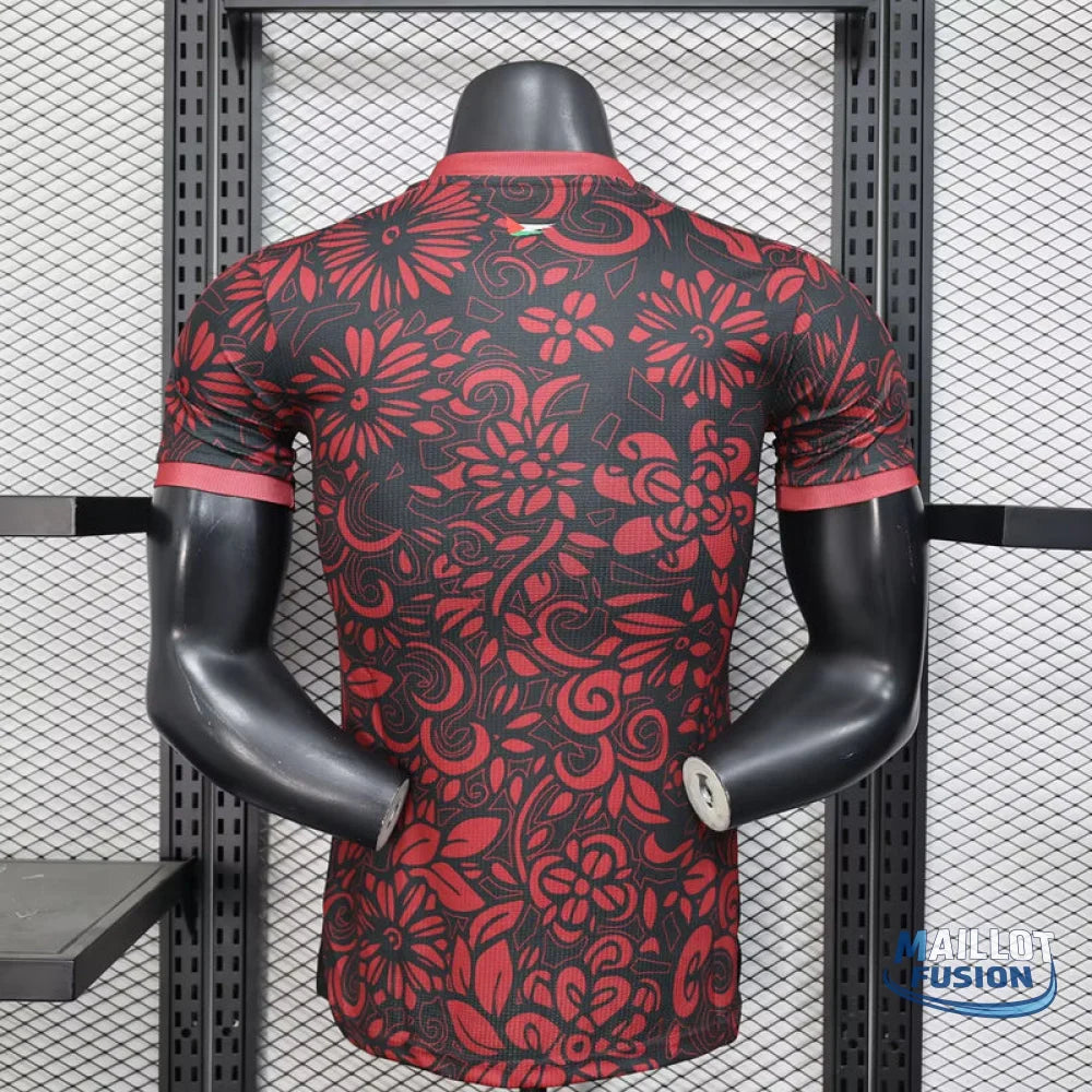 Maillot Palestine concept 2025-26