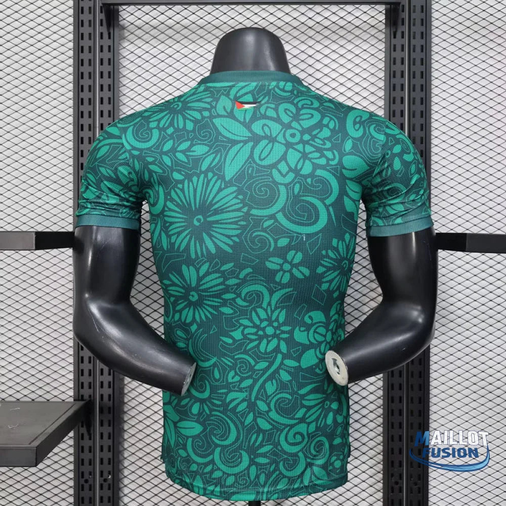 Maillot Palestine concept 2025-26